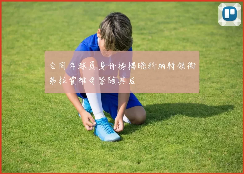 合同年球员身价榜揭晓科纳特领衔弗拉霍维奇紧随其后